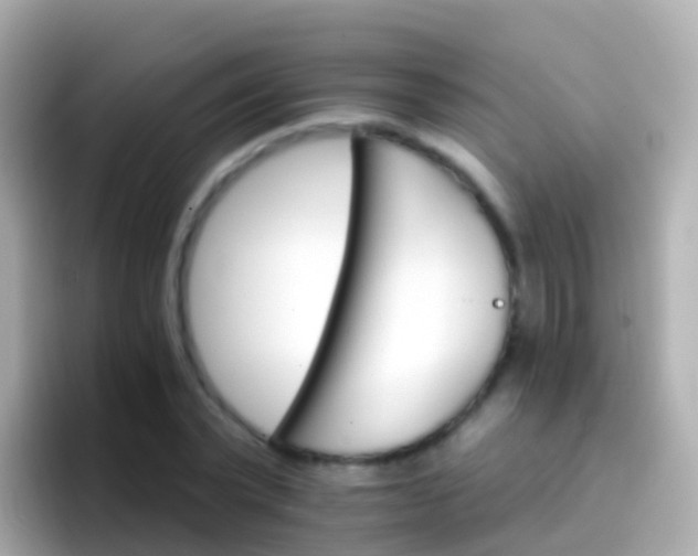 X0000096690783200802121231