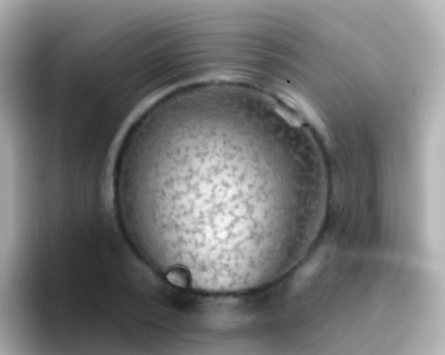 X0000096690784200802121231