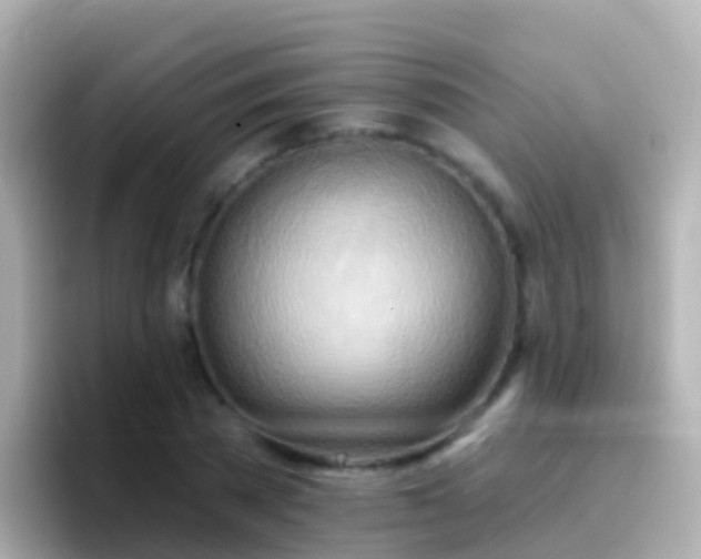 X0000096690785200802121231