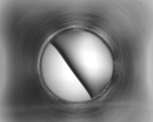 X0000096690791200802121231