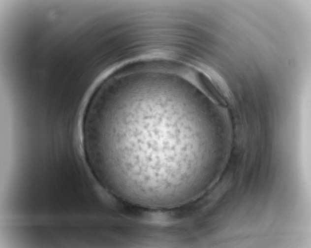 X0000096690792200802121231