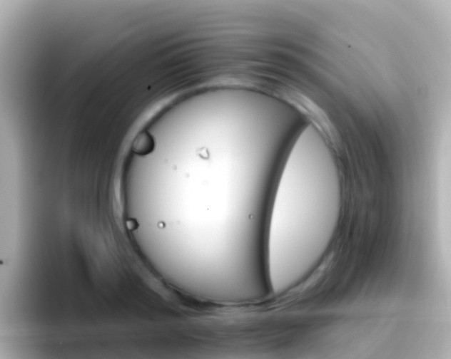 X0000096690796200802121231