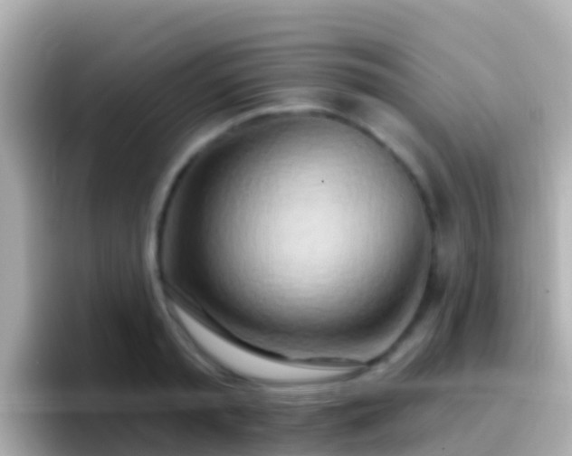 X0000096690797200802121231