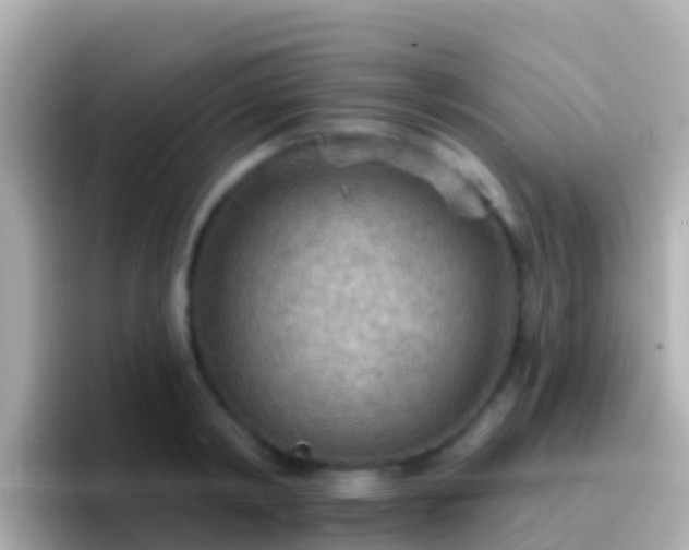 X0000096690798200802121231