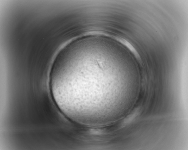 X0000096690799200802121231