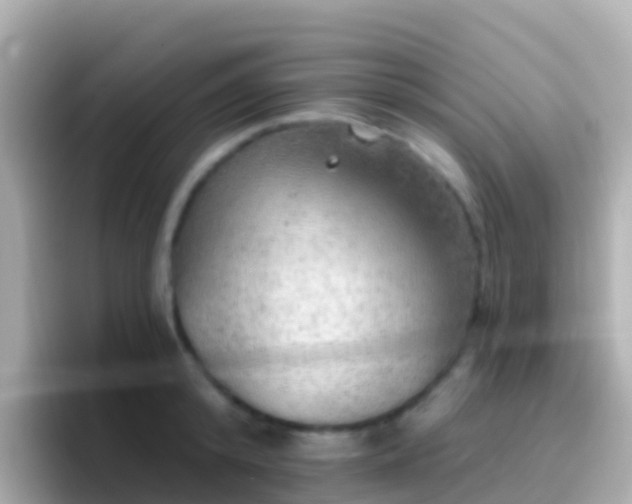 X0000096690800200802121231