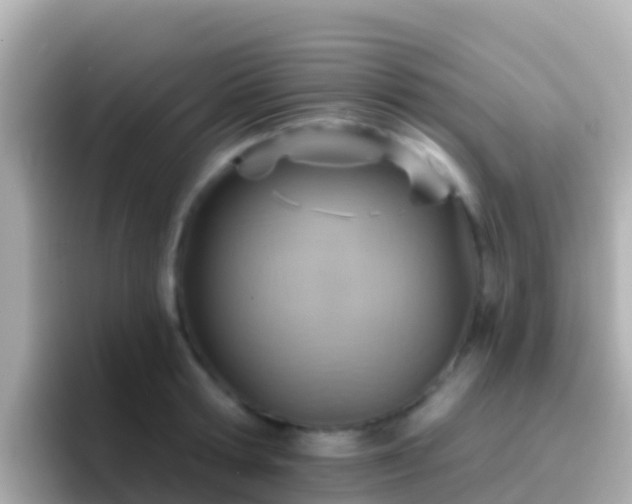 X0000096690802200802121231