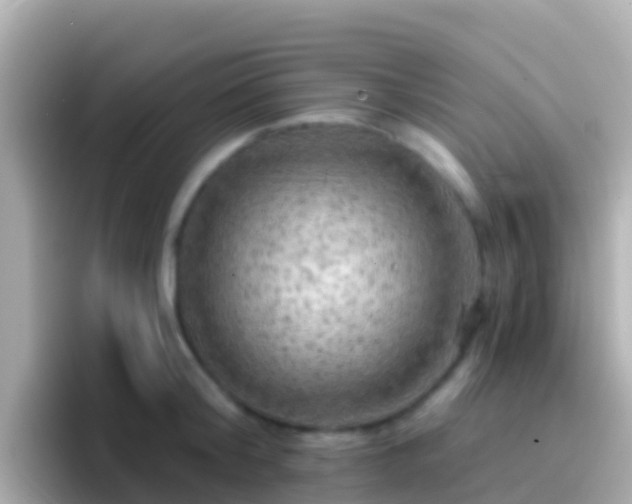 X0000096690804200802121231