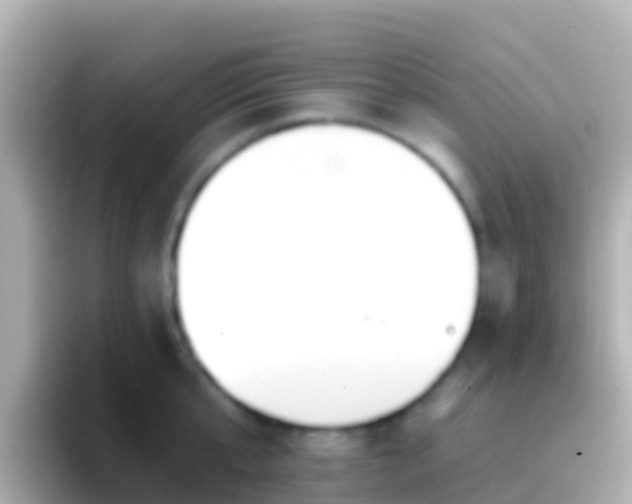 X0000096690807200802121231