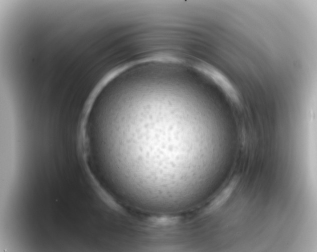 X0000096690808200802121231