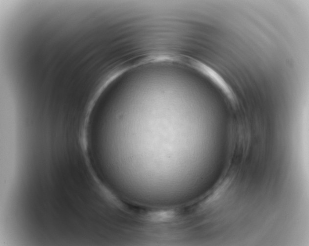 X0000096690810200802121231