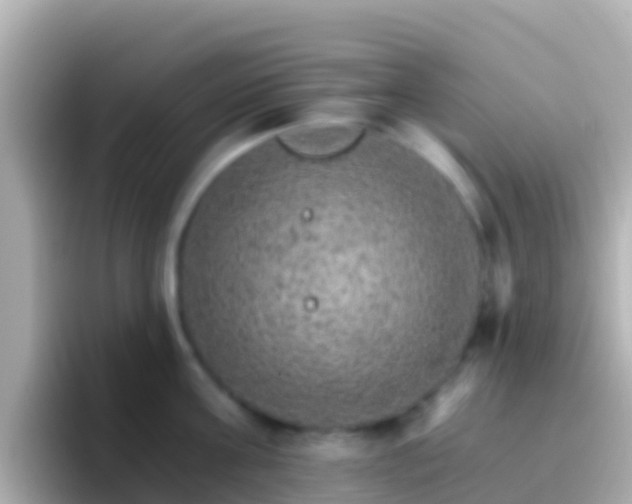 X0000096690811200802121231