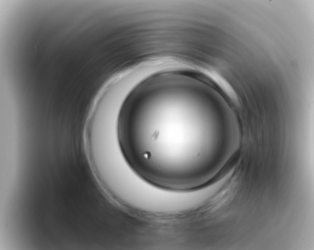 X0000096690813200802121231