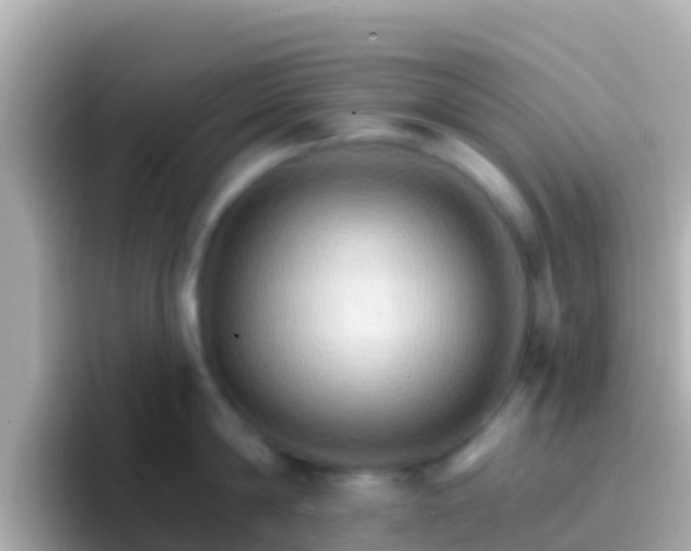 X0000096690814200802121231