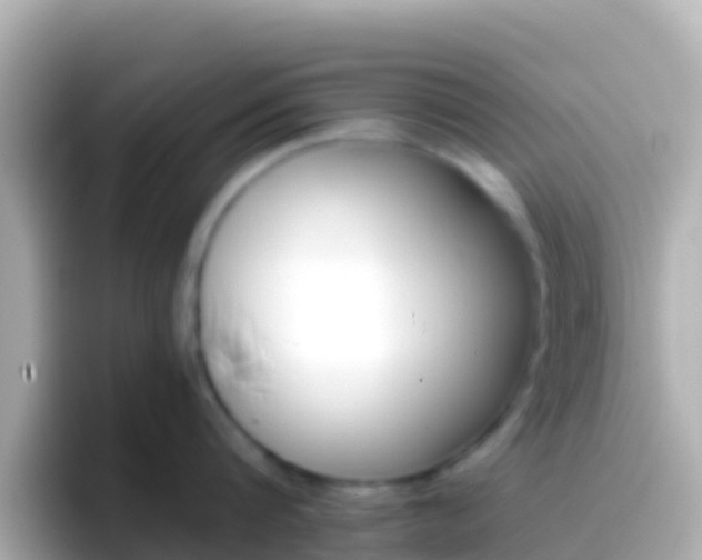 X0000096690816200802121231