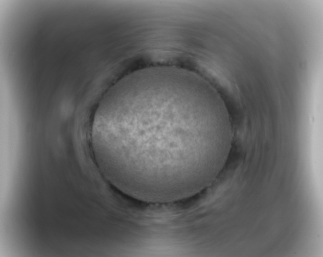 X0000096690817200802121230