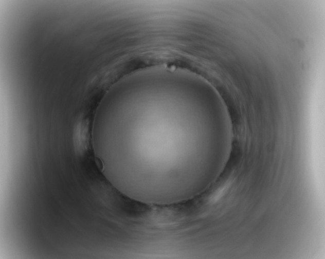 X0000096690818200802121230