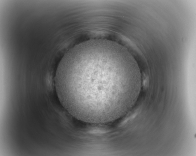 X0000096690819200802121230