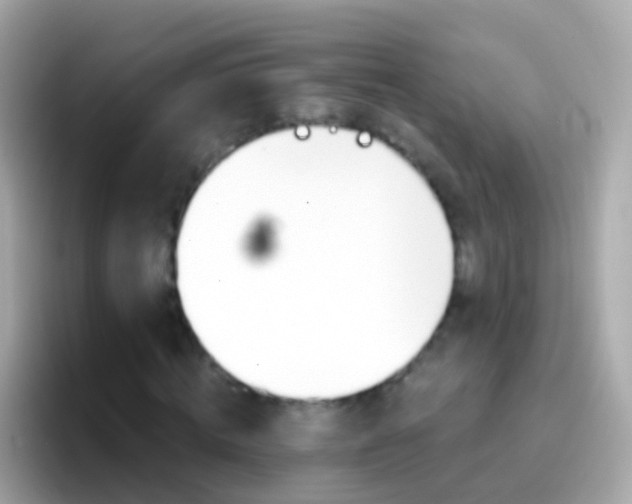 X0000096690820200802121230