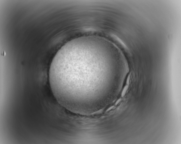 X0000096690821200802121230