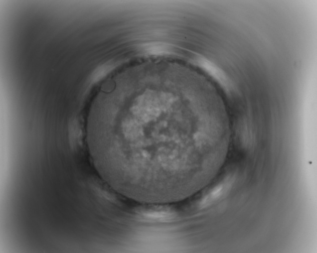 X0000096690823200802121230