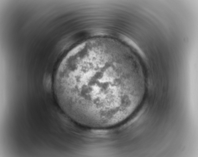 X0000096690825200802121230