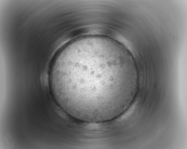 X0000096690827200802121230