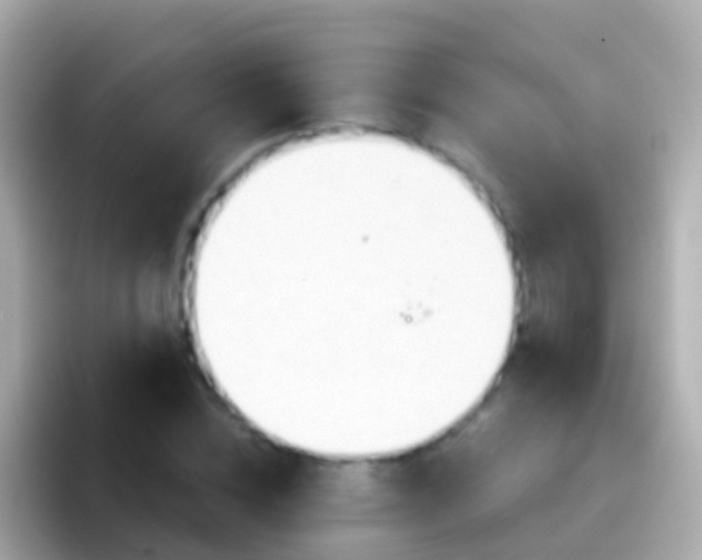 X0000096690828200802121230