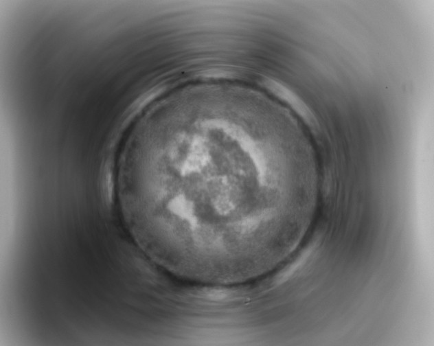 X0000096690829200802121230