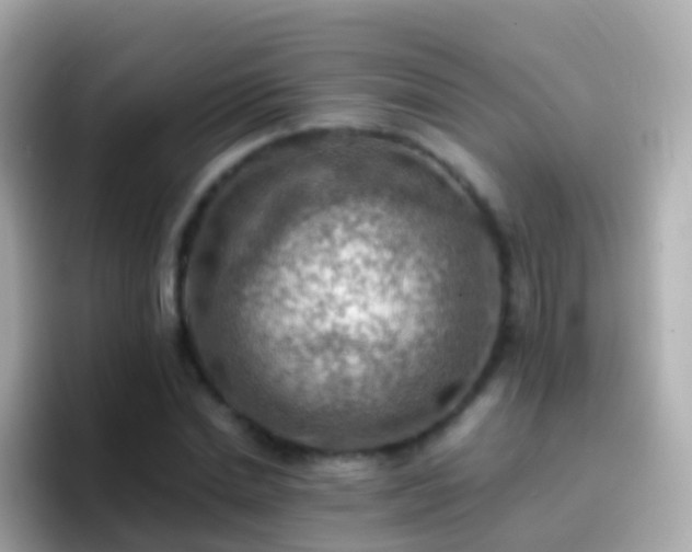 X0000096690830200802121230