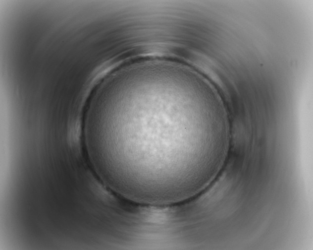 X0000096690831200802121230