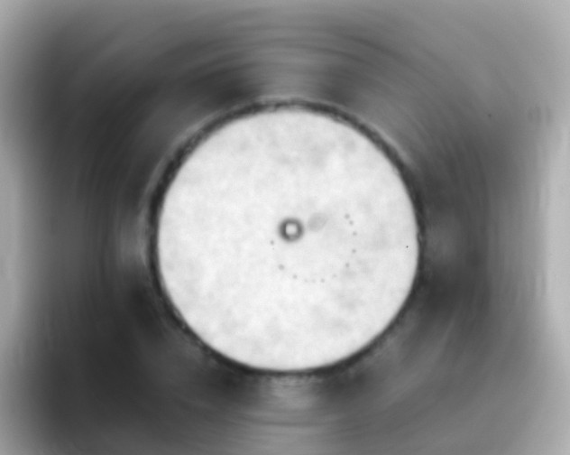 X0000096690832200802121230