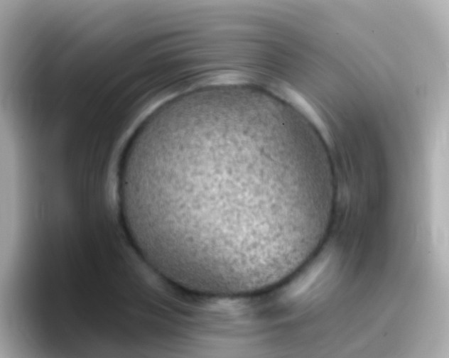 X0000096690835200802121230