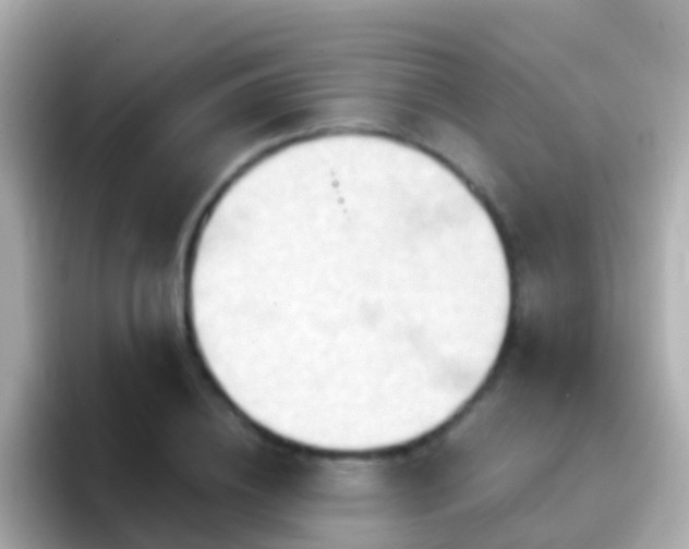 X0000096690836200802121230