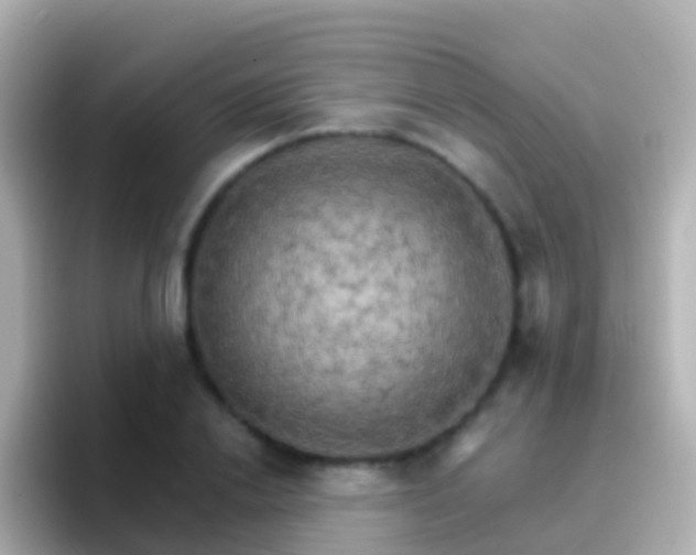 X0000096690838200802121230