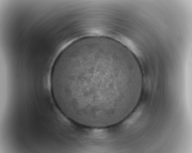 X0000096690839200802121230