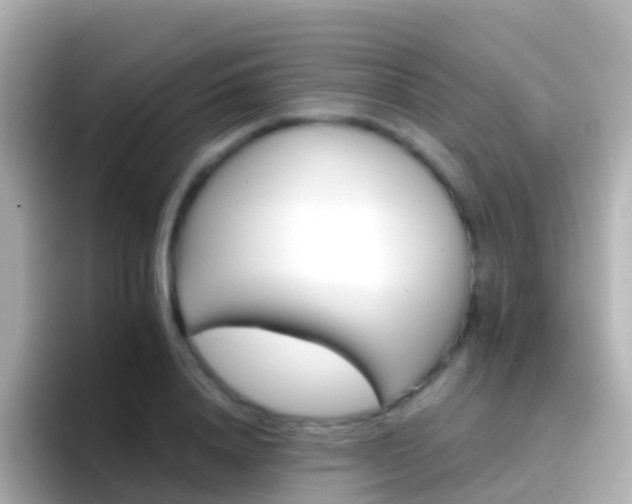 X0000096690840200802121230