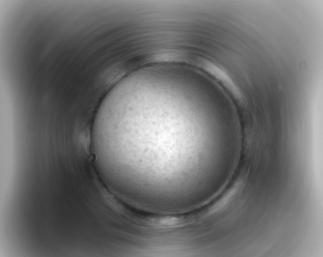 X0000096690841200802121230