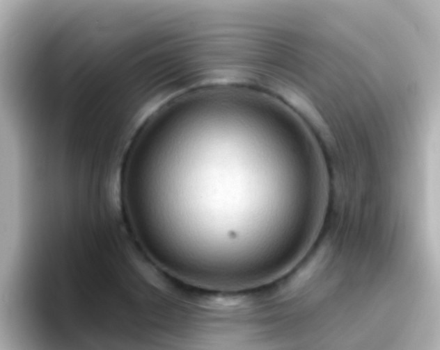 X0000096690842200802121230