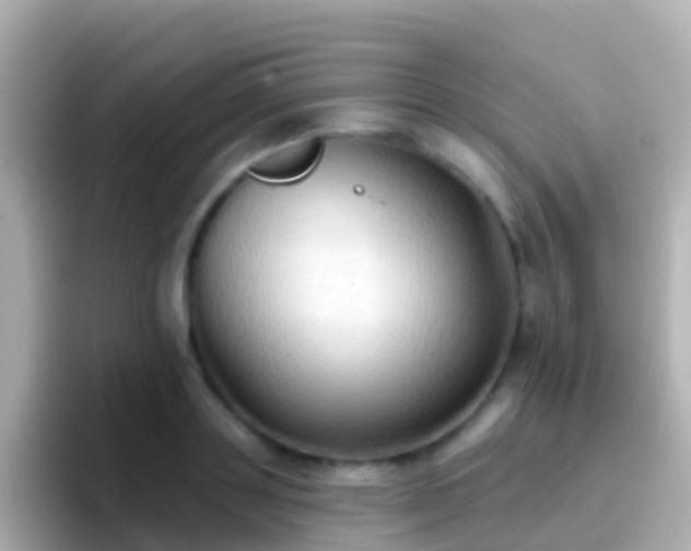 X0000096690843200802121230