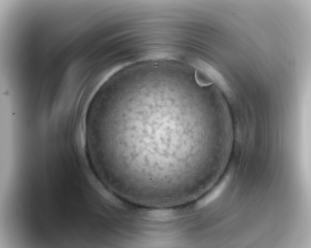 X0000096690844200802121230