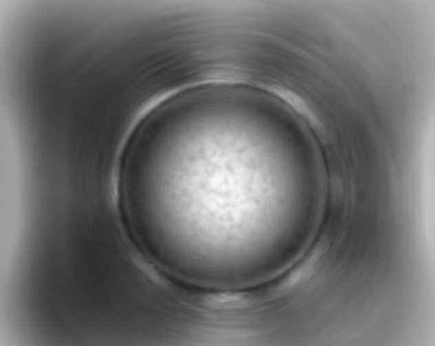 X0000096690846200802121231