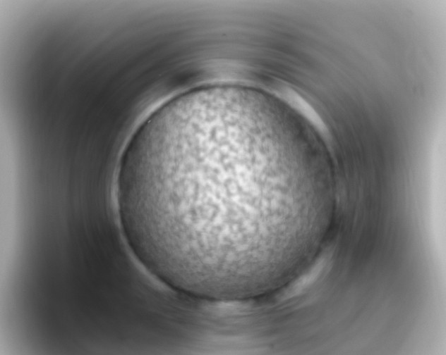 X0000096690847200802121231