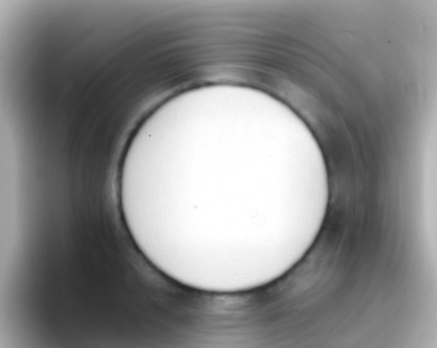 X0000096690848200802121231