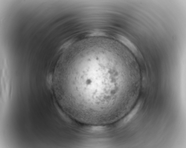 X0000096690849200802121231