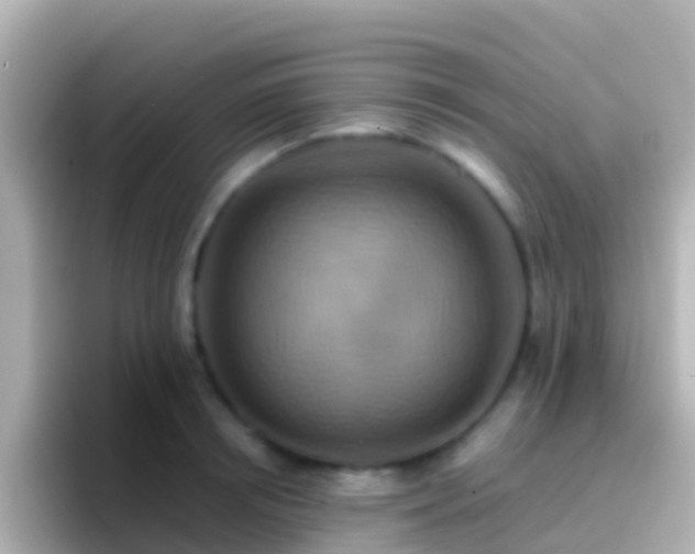 X0000096690850200802121231