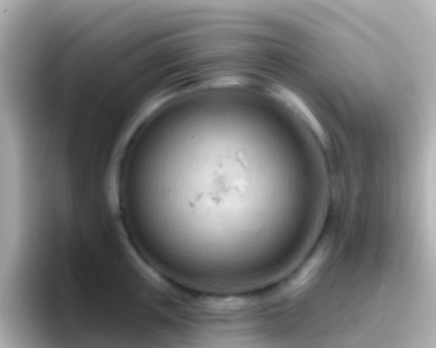 X0000096690851200802121231