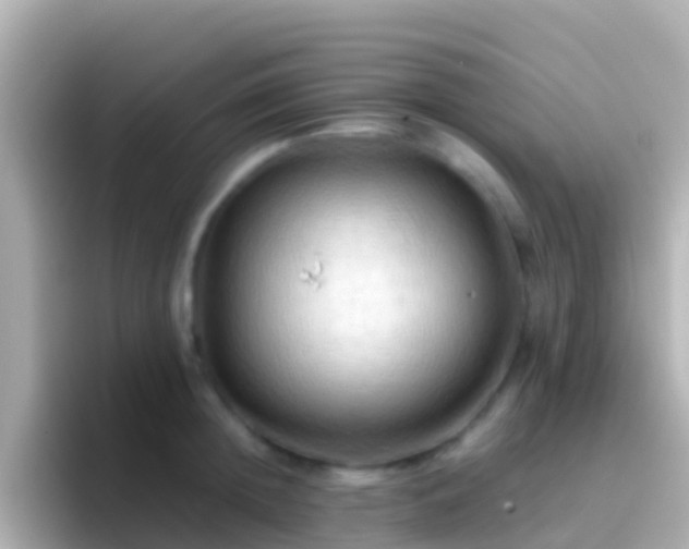 X0000096690852200802121231