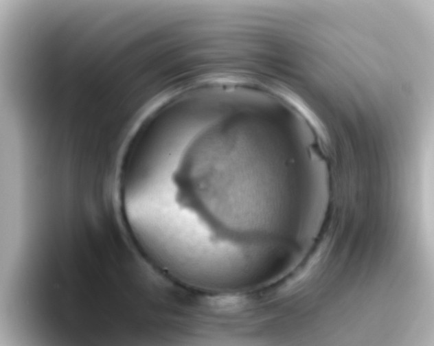 X0000096690853200802121231