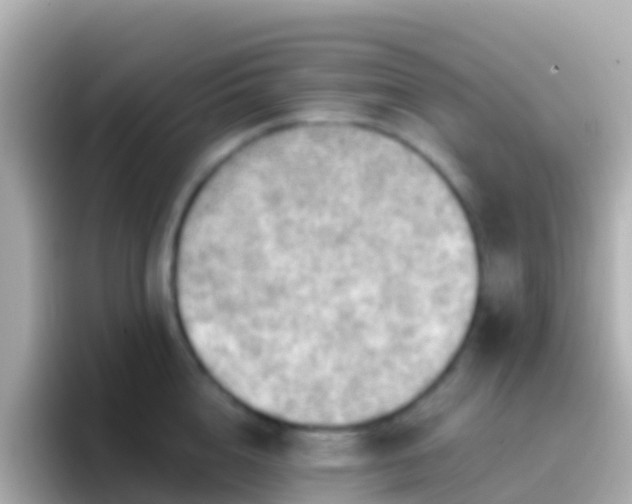 X0000096690856200802121231